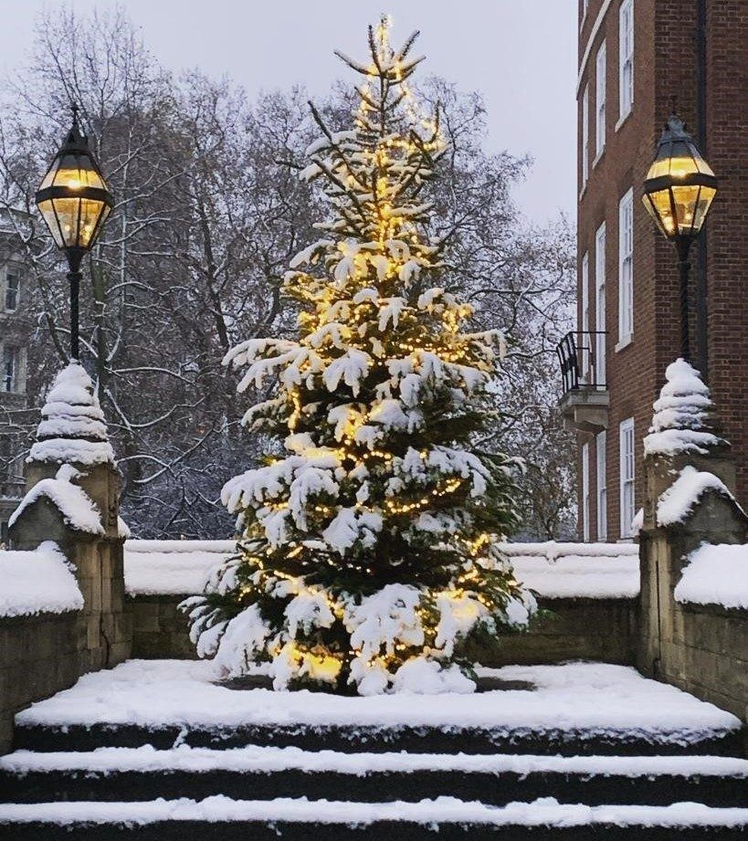 Snowy Christmas Tree